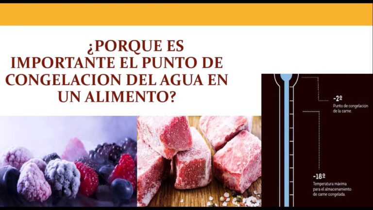 Qué diferencias existen entre agua libre y agua ligada en los alimentos 55 comparativa entre agua libre y ligada