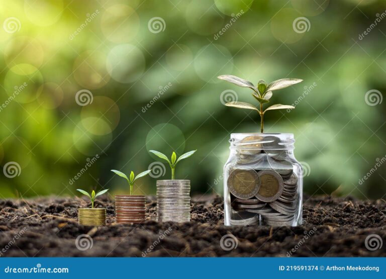 Qué significa abonar a capital en términos financieros 61 dinero creciendo sobre una planta verde