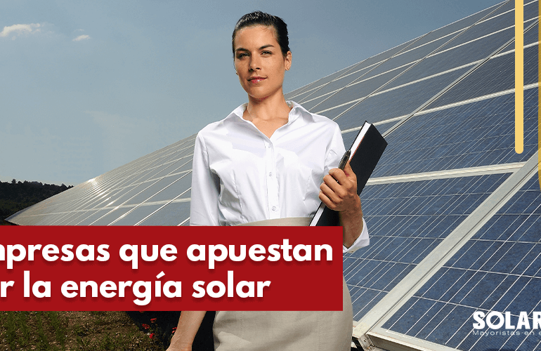 Cómo puedo convertirme en distribuidor de paneles solares en México 1 distribuidor de paneles solares en
