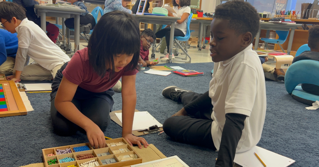 Qué opciones de licenciatura en finanzas, banca y seguros existen 5 Qué opciones de licenciatura en finanzas, banca y seguros existen