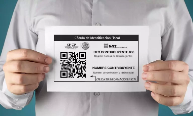 icono de identificacion fiscal en mexico