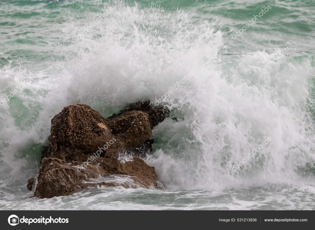 De qué manera la energía mareomotriz afecta a las especies marinas 5 De qué manera la energía mareomotriz afecta a las especies marinas
