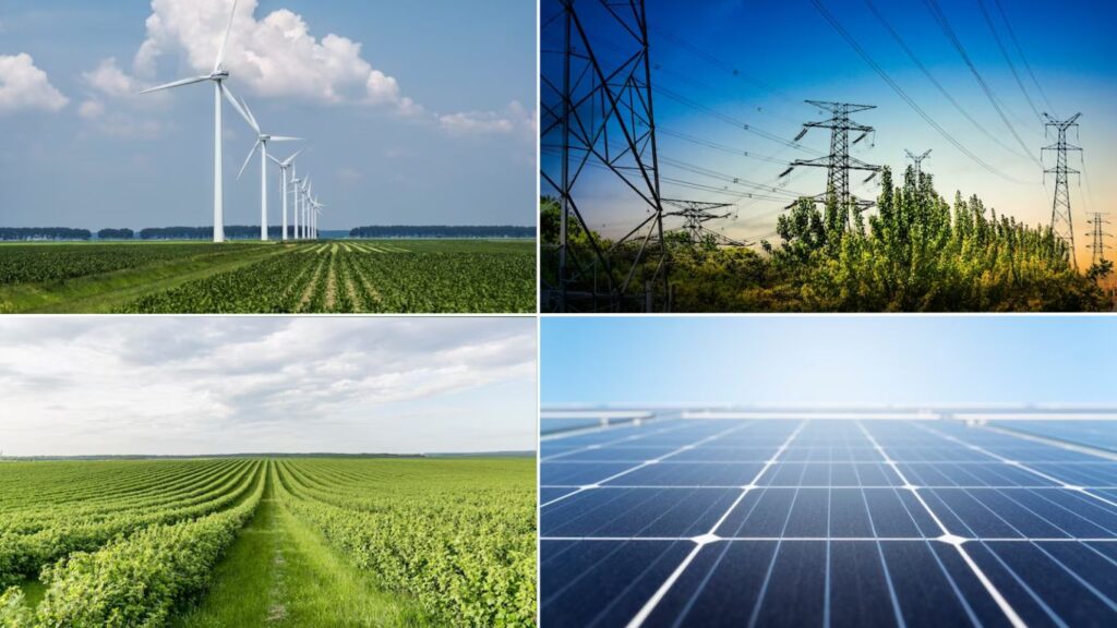 Qué opciones de plantas de luz están disponibles en San Luis Potosí 5 Qué opciones de plantas de luz están disponibles en San Luis Potosí