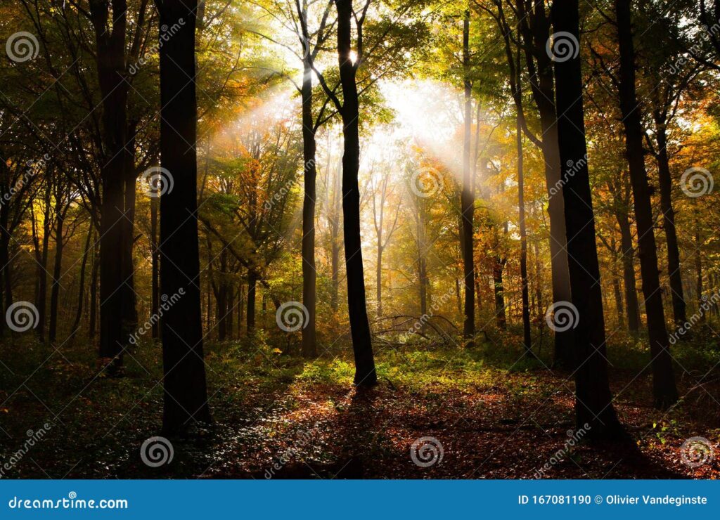 Cuáles son los principales beneficios del sol para el planeta Tierra 4 Cuáles son los principales beneficios del sol para el planeta Tierra