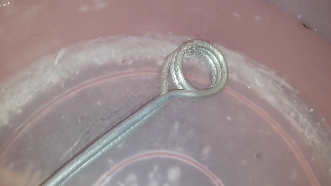 Cuánto consume una resistencia eléctrica para calentar agua eficientemente