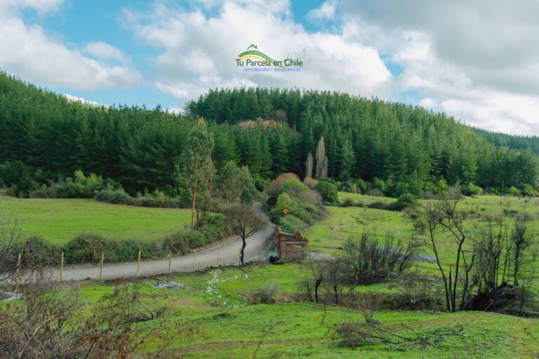 terreno amplio con senal de celular